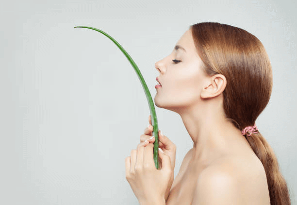 Benefits of aloe vera for hair image05
