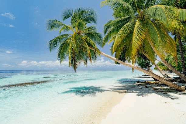 How Much Does a Ticket to the Maldives Cost? - image